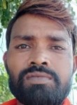 Harishankar, 35 лет, Lucknow