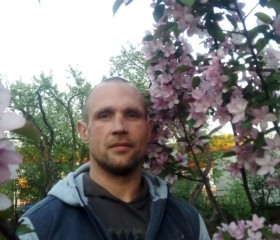 Григорий, 42 года, Волосово
