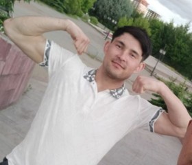 Samir, 28, Mikhaylovsk (Stavropol)