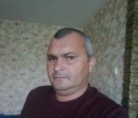 Сергей, 43 года, Саки