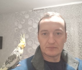 Сергей, 42 года, Жыткавычы