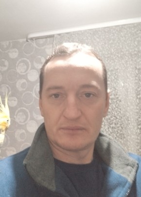 Сергей, 42, Рэспубліка Беларусь, Жыткавычы