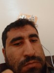 ابو علي, 33 года, عمران