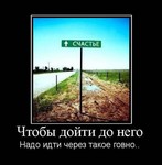 Открыть в полном размере