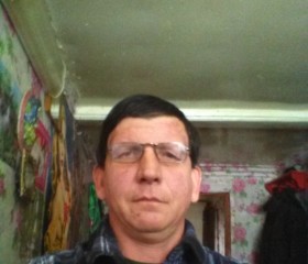 Николай, 51 год, Новоспасское