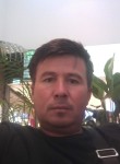 Шерхан, 43 года, Казань