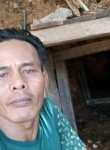 Kastoyo, 35 лет, Padangsidempuan