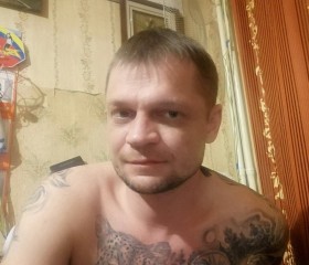 Александр, 37 лет, Щекино