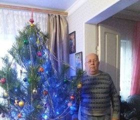 Владимир, 61 год, Знам’янка