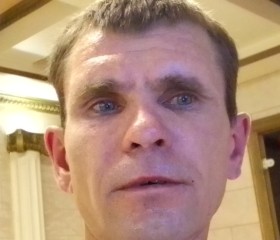 Михаил Устюжанин, 38 лет, Курган