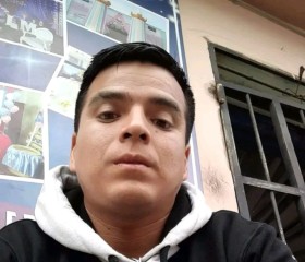 Luis, 35 лет, Lima