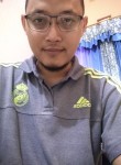 Zaenal, 28 лет, Kota Bekasi