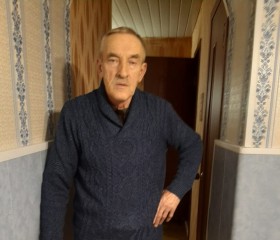 Виктор Васильев, 74 года, Кировск (Ленинградская обл.)