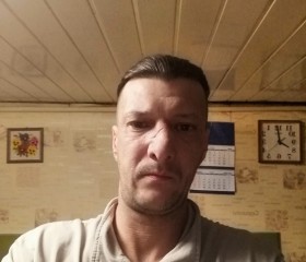 Дмитрий Баринов, 42 года, Нахабино