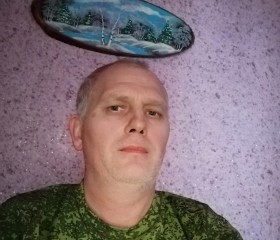 Владимир, 49 лет, Энгельс