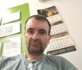 Andrey, 44, Krasnogorsk
