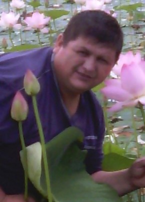 Аркадий, 54, Россия, Новосибирск