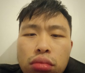 zhou andy93, 31 год, Bologna