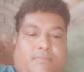 Pankaj roy, 41 год, New Delhi