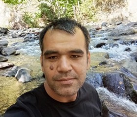 Batyr, 40, Tbilisi