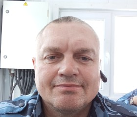 Vladimir, 47, Klyuchi (Kamtsjatka)