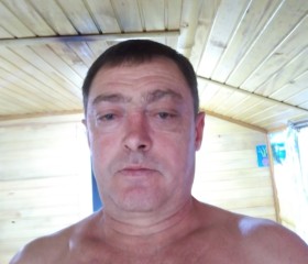 Дмитрий, 54 года, Йошкар-Ола