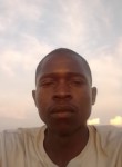 Frank luhanga, 29 лет, Lusaka