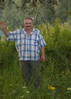 Андрей, 60, Россия, Покров
