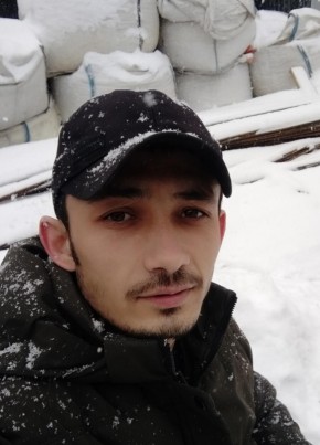 Рустик, 29, Россия, Москва