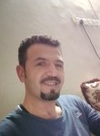 Javad, 38, London