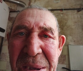 Sergey, 62, Krasnoznamensk (Kaliningrad)
