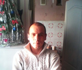 Алексей, 39 лет, Новодвинск