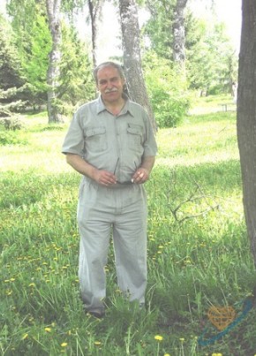 Вик, 68, Россия, Димитровград