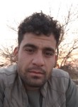 Tarq, 24 года, کابل