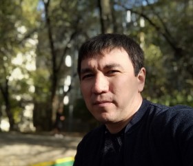 Серик, 42 года, Алматы