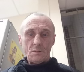 Михаил, 51 год, Ярославль