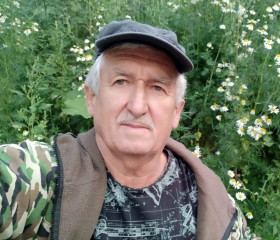 Михаил, 63 года, Челябинск