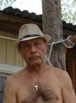 Александр, 67 лет, Нижневартовск