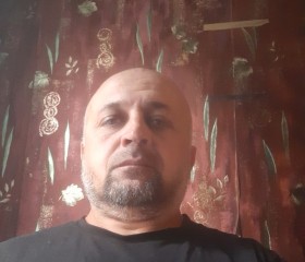 Mirza, 49, Vologda