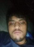 Anandsihgh, 18 лет, Jalandhar