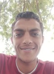 تيتو, 24  , Zifta