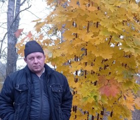 Вячеслав Сотник, 40 лет, Чаплыгин