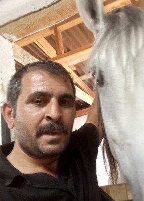 Bektas из Ankara 30 лет