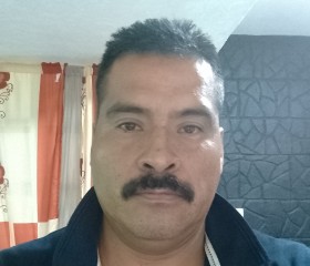 Juan Carlos, 36 лет, Santiago de Querétaro