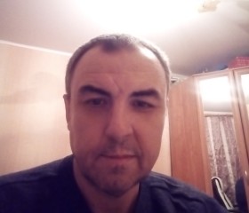 Миша, 46 лет, Череповец