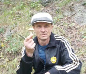 Сергей, 52 года, Миасс
