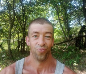 Denis, 42 года, Odorheiu Secuiesc