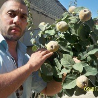 Тимур, 44 года, Душанбе