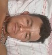 Elvi,