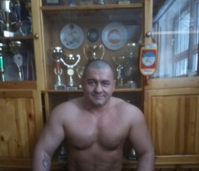 Николай, 46 лет, Мурмаши